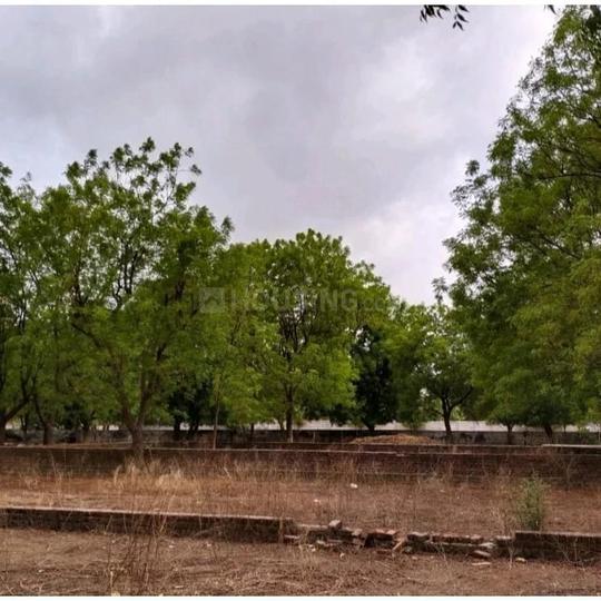 Sanidhya koba Main Image 1
