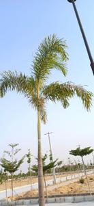 Image of 100 Sq.ft Residential Plot / Land for sale in Chegunta, Medak for Rs. 1800000