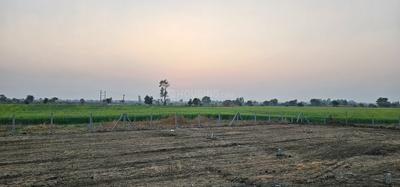 Harinagar Colony Plot View 2