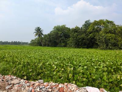 Image of 720 Sq.ft Residential Plot / Land for sale in Wander Valley, Joka, Kolkata for Rs. 250011