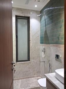 Common Bathroom Image of 1350 Sq.ft 3 BHK Builder Floor for sale in Paschim Vihar New Delhi for Rs. 27500000