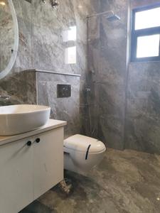 Common Bathroom Image of 1400 Sq.ft 2 BHK Apartment / Flat for rent in Palam Vihar Gurgaon for Rs. 32000
