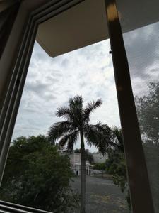 Balcony Image of 550 Sq.ft 1 BHK Builder Floor for rent in Vijay Nagar Indore for Rs. 17500