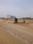 Amrawati IT City Main Image 1