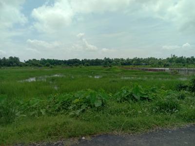 A P Nagar Plot View 2