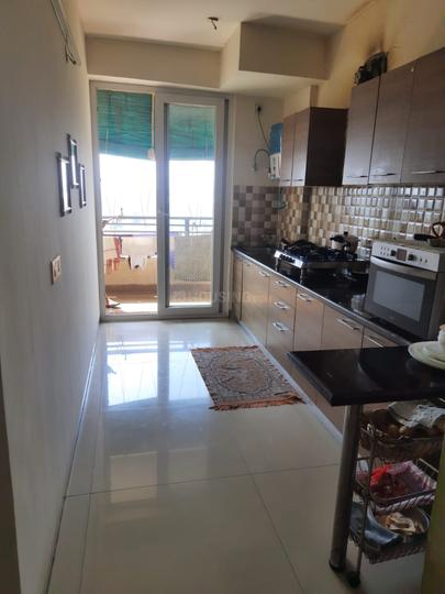 Tulip Violet Main Image 1