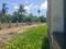Diamond Park, Joka Main Image 1