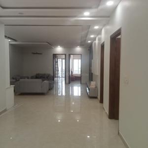 Hall Image of 3150 Sq.ft 4 BHK Builder Floor for sale in Sector 85 Faridabad for Rs. 25000000