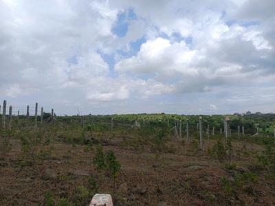 Image of 1202 Sq.ft Residential Plot / Land for sale in Lohegaon, Pune for Rs. 3614000