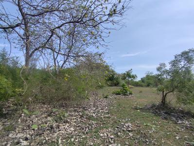 Image of 1200 Sq.ft Residential Plot / Land for sale in Kollar, Viluppuram for Rs. 1100000