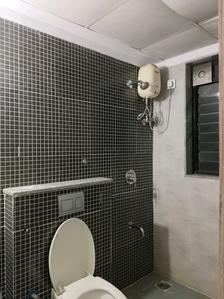 Common Bathroom Image of 950 Sq.ft 2 BHK Apartment / Flat for rent in Lodha Palava Downtown, Palava Phase 2 Thane for Rs. 18999