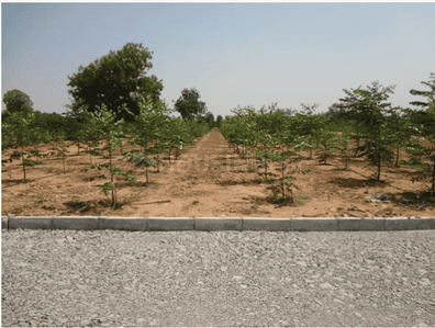 Image of 1320 Sq.ft Residential Plot / Land for sale in Masaipet, Hyderabad for Rs. 2500000