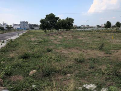 JBs Nature Valley Phase I Plot View 1