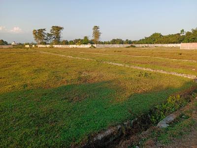 Icon Home Phase 1 Plot View 3