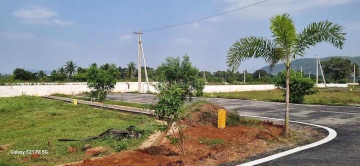 Charan Sanghvi Blue Sky Main Image 1