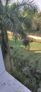 Balcony Image of 1200 Sq.ft 3 BHK Apartment / Flat for rent in Karelibagh Vadodara for Rs. 14500