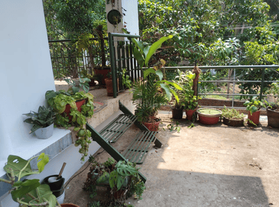 Image of 1000 Sq.ft 1 BHK Independent House for rent in Chevarambalam, Kozhikode for Rs. 14000
