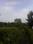 Sairung woods Main Image 1