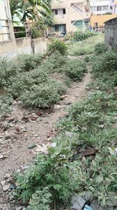 Residential Plot