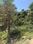 Behat Plot View 2