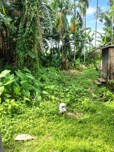 Image of 4368 Sq.ft Residential Plot / Land for sale in Jamuguri, Nagaon for Rs. 1800000
