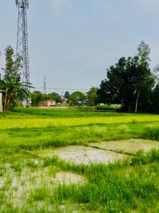 Image of 50000 Sq.ft Residential Plot / Land for sale in Paharpur, Sagri, Azamgarh for Rs. 19000000