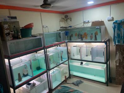 Image of 450 Sq.ft Residential Plot / Land for sale in Malad West, Mumbai for Rs. 3100000