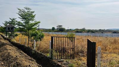 Ringanabodi Plot View 3