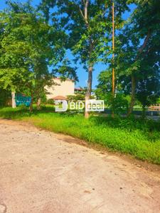 Residential Plot