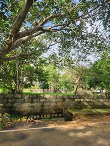 Residential Plot