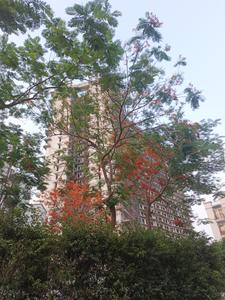 Image of 2280 Sq.ft 4 BHK Apartment / Flat for sale in Rising Homes At DXP 92, Sector 92, Gurgaon for Rs. 29900000