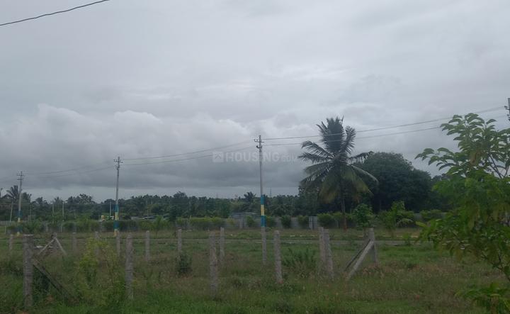 Vajamangala Main Image 1