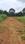 Thrippunithura Plot View 2