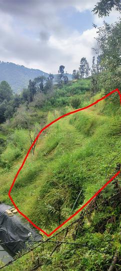 Mukteshwar Main Image 1