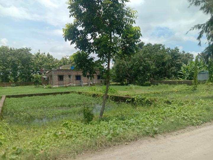 Residential plot Sonarpur Main Image 1