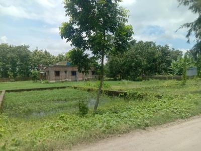 Residential plot Sonarpur Plot View 1