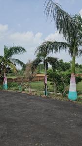 Kankaha Plot View 2