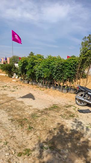 Jai Shri Nath Kritika Enclave Main Image 1