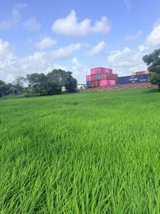 Image of 1089 Sq.ft Residential Plot / Land for sale in Bori Bk, Navi Mumbai for Rs. 500000