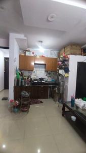 Hall Image of 600 Sq.ft 2 BHK Builder Floor for rent in Dabri New Delhi for Rs. 18000