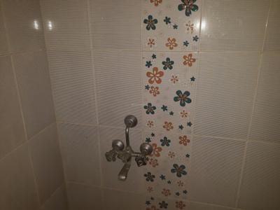 Bathroom Image of 450 Sq.ft 1 BHK Apartment / Flat for sale in Haltu Kolkata for Rs. 2650000