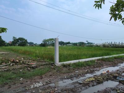 Image of 1440 Sq.ft Residential Plot / Land for sale in Raspunja Township, Joka, Kolkata for Rs. 545656