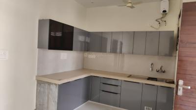 Kitchen Image of 1500 Sq.ft 2 BHK Builder Floor for rent in Hajiwala Jaipur for Rs. 15000