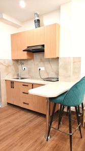 Kitchen Image of 1500 Sq.ft 1 RK Builder Floor for rent in Sector 41 Gurgaon for Rs. 26000