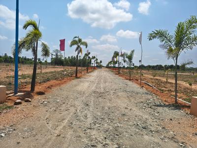 SS VALLEY Plot View 2
