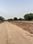 Royal City Plot View 2