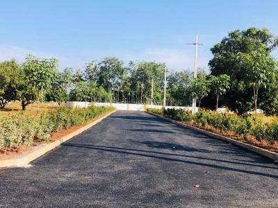 Image of 183 Sq.ft Residential Plot / Land for sale in Nidigattu, Visakhapatnam for Rs. 5653000