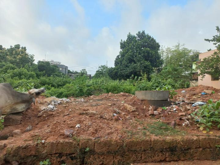 Patharagadia Main Image 1