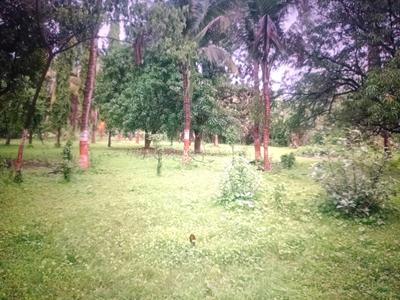 Image of 1089 Sq.ft Residential Plot / Land for sale in Mothijui, Navi Mumbai for Rs. 568000