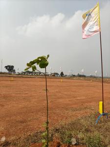 Residential Plot